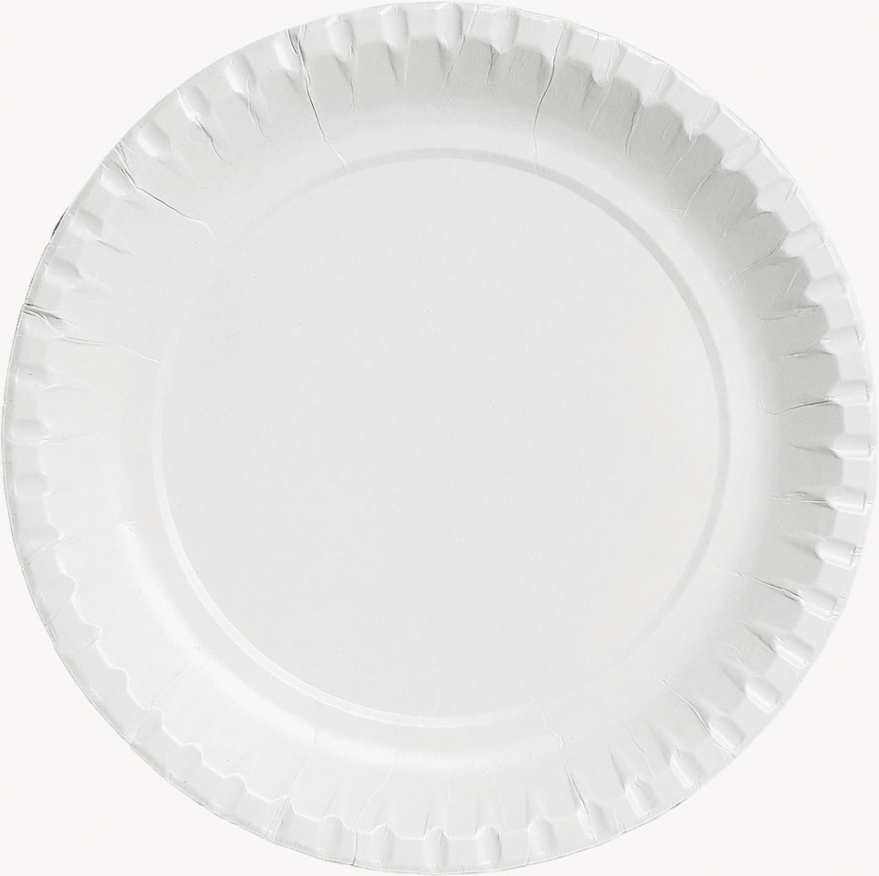 Pappteller groß Ø 23 cm Packung (100 Stück)